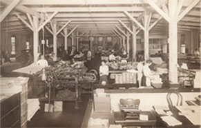 Old Image of the Boundary