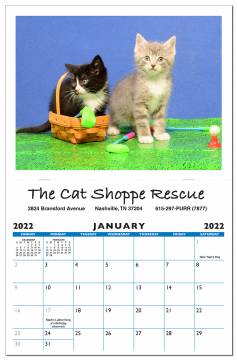 13 Photo Fundraising Calendar-A413STF